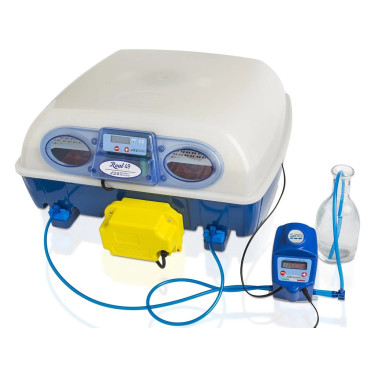 Popolnoma avtomatski inkubator za jajca BOROTTO REAL 49 EXPERT