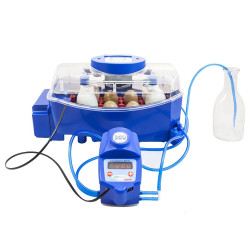 Popolnoma avtomatski inkubator za jajca BOROTTO LUMIA 8 EXPERT