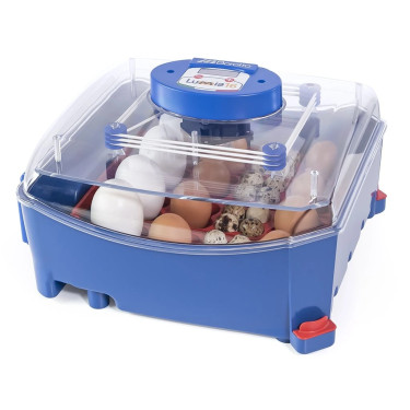 Avtomatski inkubator za jajca BOROTTO LUMIA 16 AUTOMATIC