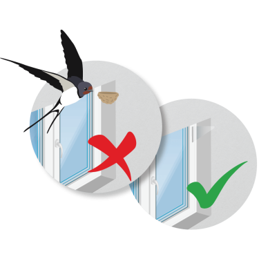 Preprečevanje gnezdenja ptic na oknih 