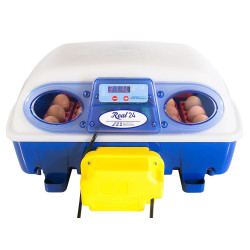 Inkubator za jajca BOROTTO REAL 24 AUTOMATIC