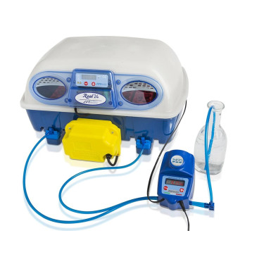 Popolnoma avtomatski inkubator za jajca BOROTTO REAL 24 EXPERT