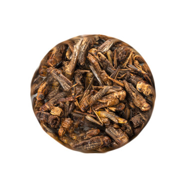 UGF posušene kobilice 20 g