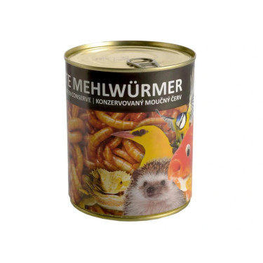 Mokasti črvi - konzervirani (490 g)