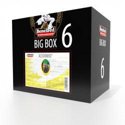 ACIDOMID golob 6000 ml BIGBOX