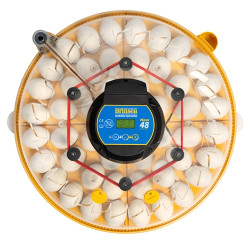 BRINSEA Maxi 48 Advance - avtomatski inkubator za kokoši in gosi