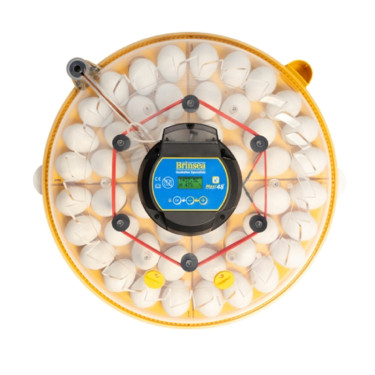 BRINSEA Maxi 48 EX Connect - pametni inkubator za piščance, prepelice in gosi