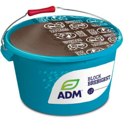 MINERALNA MOLASIRANA LIZ BLOK BLOK BREBIGEST - Priprava ovc za blatenje