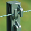 Električna vrtna ograja za psa, mačko in zajca - omrežno napajanje - 100 m kabel