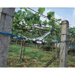 Ročni vzvodni žični vitel KERBL 37117 HAND POWER PULLER 3 m / 1250 kg