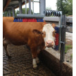 Krtača za govedo Euro Farm z vzmetjo