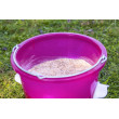 Krmilno vedro za perutnino Kerbl, 12 l, 4 krmilne odprtine s pokrovčki