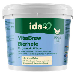 VitaBrew – pivski kvas