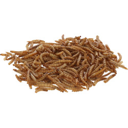 Sušene ličinke mokarjev, 900 g, Kerbl