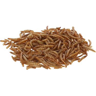 Sušene ličinke mokarjev, 900 g, Kerbl