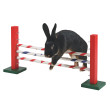 Agility skok za glodalce