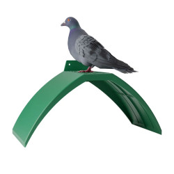 Počivališče za golobe