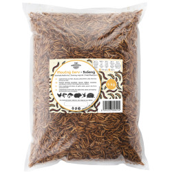 Mokasti črvi 5 kg