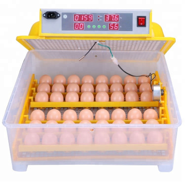 Avtomatska digitalna valilnica WQ-48 z valilnico in higrometrom. Za 48 jajc.