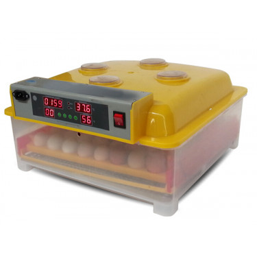Avtomatska digitalna valilnica WQ-56. Za 56 jajc.