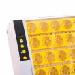 Avtomatska digitalna valilnica YZ24A. Za 24 jajc.