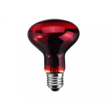 Infrardeča žarnica 150 W, rdeča