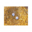 Umetno jajce, srednje, substrat za kokoši, keramika