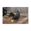 Krmilnik za perutnino – žogica za zrnje za kokoši, 7,5 cm
