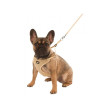 Oprsnica za mladičke in male pse Puppy