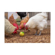 Krmilnik za perutnino – žogica za zrnje za kokoši, 7,5 cm