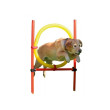 Kerbl agility ovire za pse, komplet 
