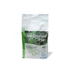 Androstar Plus za 5 l z gentamicinom