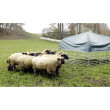 Premično zavetišče za ovce in koze s ponjavo, 2,75 x 2,75 m