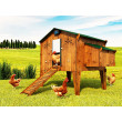 Set avtomatskega odpiranja in zapiranja kokošnjaka CHICKEN GUARD PREMIUM 25x30