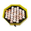 Vrtljiva rešetka za kokošja jajca za valilnice CLEO SLEPICE