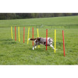 Kerbl agility ovire za pse, komplet 