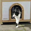 Ležišče - izolirana hišica za mačke TYROL ALPIN, 88x57x77cm