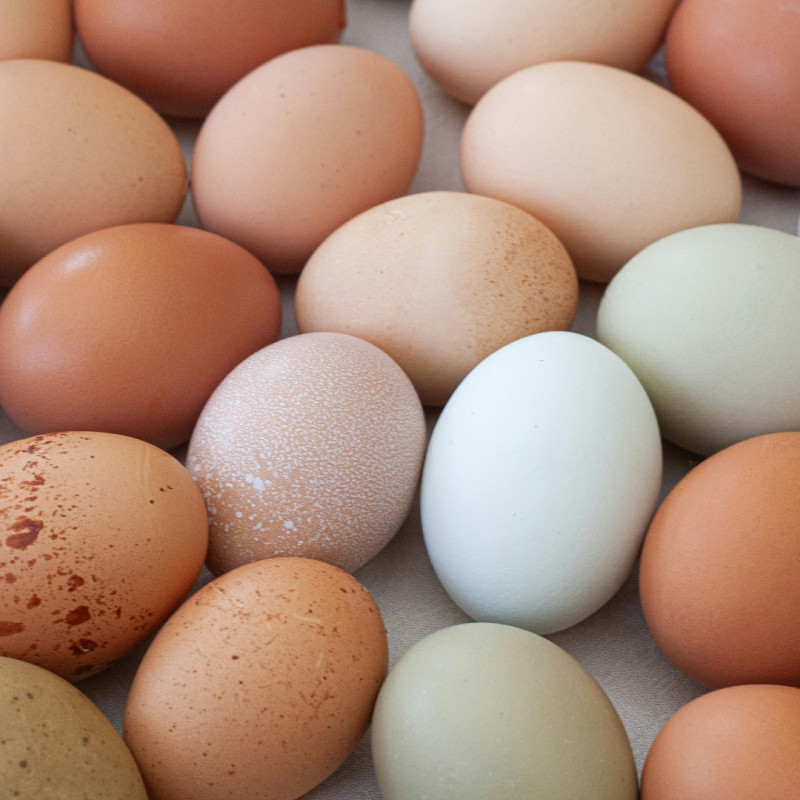 Velikonočna kokoš: barvna jajca brez barvanja