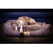 CROCODOG STRIPED PET BED 