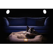 CROCODOG STRIPED PET BED 