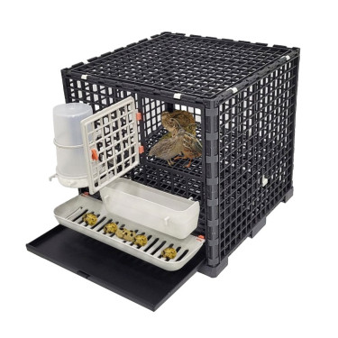 Kletka za prepelice AGROFORTEL AGF-QC-1 - modularna za 10 prepelic